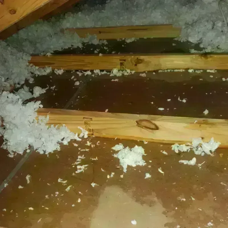 Attic Water Damage in August, CA