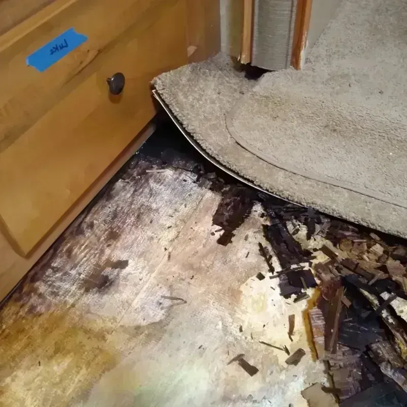 Wood Floor Water Damage in August, CA